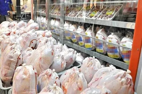 عرضه مرغ با نرخ بالای ۲۵ هزار تومان گرانفروشی است