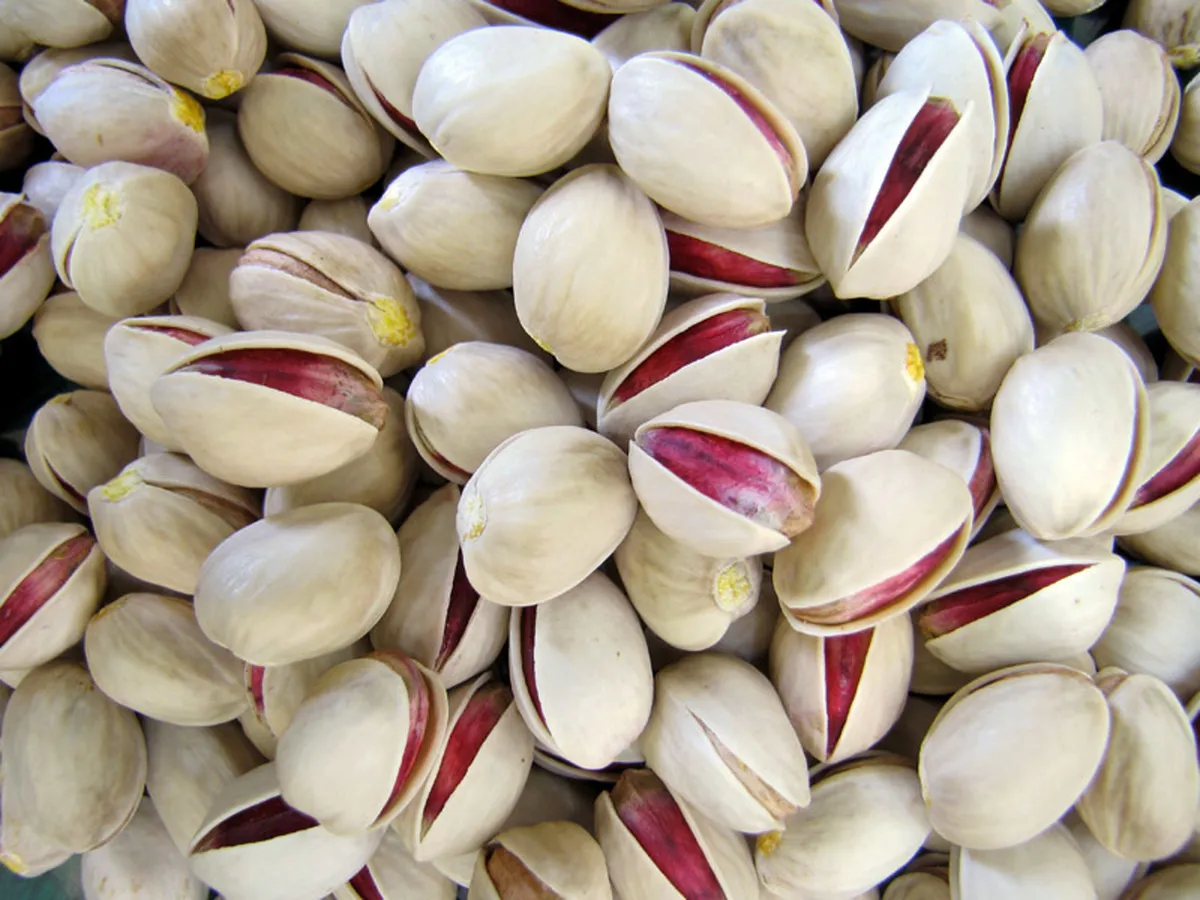ایران جایگاه صادرات پسته به اروپا را از دست داد