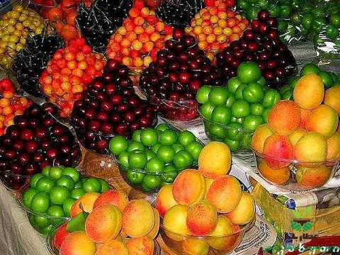 گرانی میوه در عین فراوانی