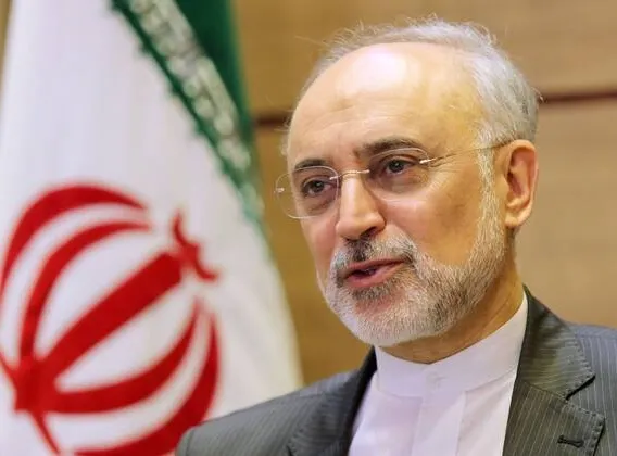 علی اکبر صالحی: در بحث کاندیداتوری، هنوز در حال مشورت هستم