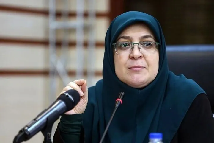 واکنش سخنگوی دولت به برخی هجمه‌ها علیه رییس جمهور