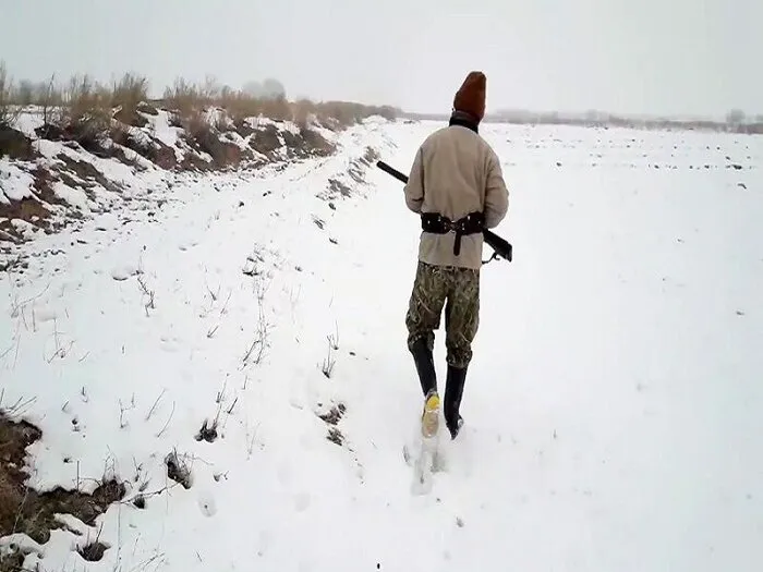 عکس/ الاغ یخ زده از سرمای دیشب
