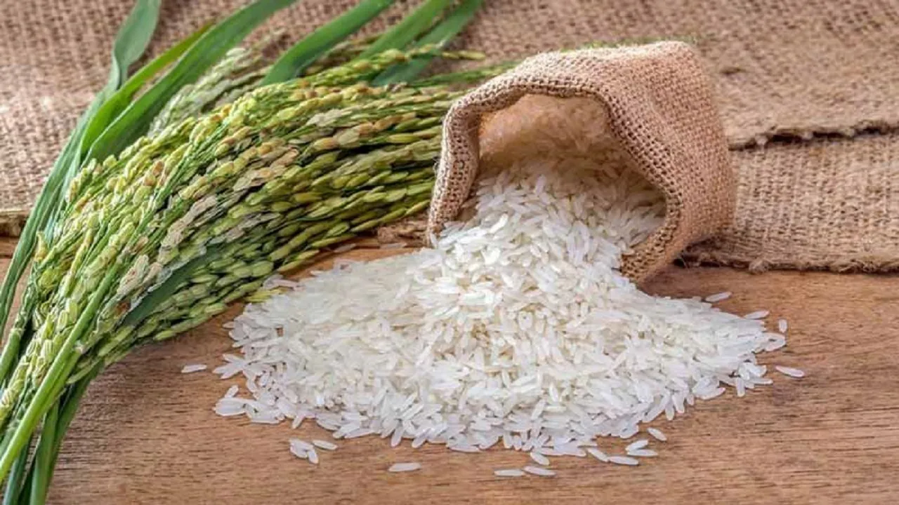 چقدر برنج وارد کشور شد؟