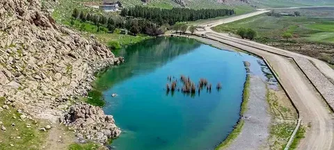 زیبایی‌های طبیعت بهاری تالاب هشیلان کرمانشاه