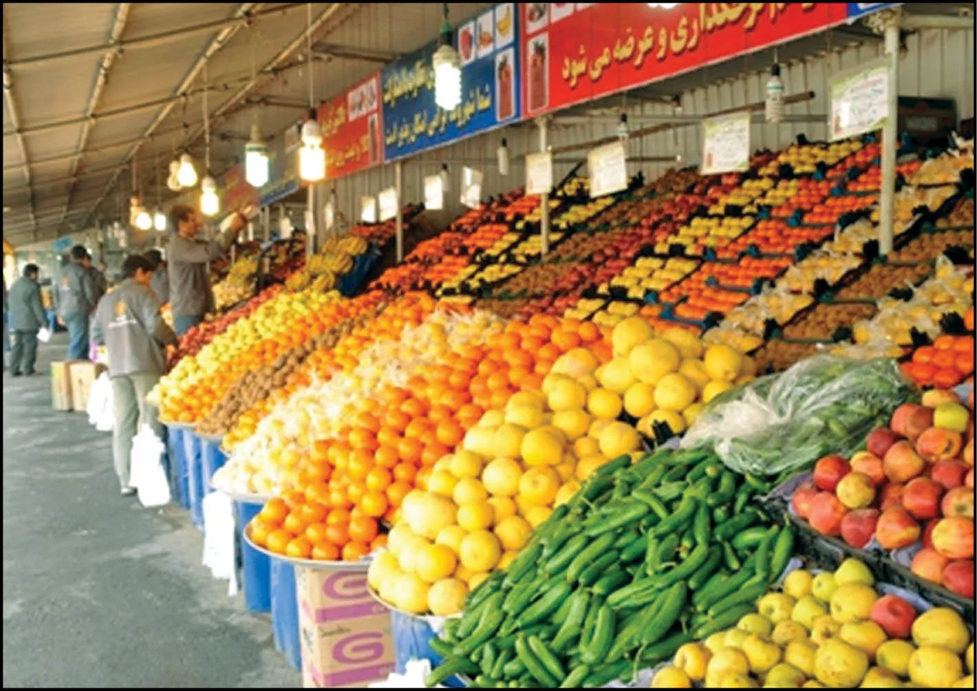 میوه در میادین پایتخت کیلویی چند؟