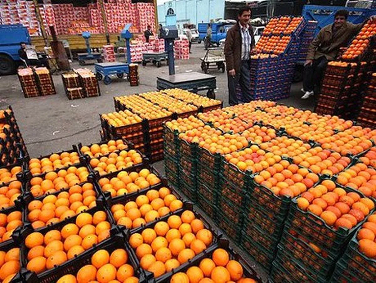 میوه‌های زمستانی گران شد