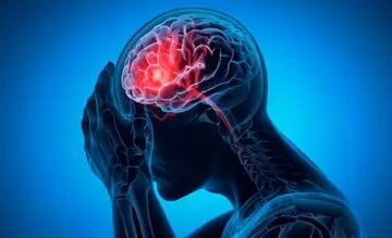 عملیات نجات مغز با خوردن این صبحانه