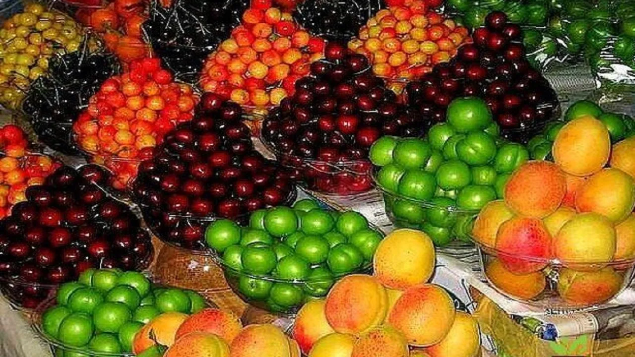 ارزانی ۲۰ درصدی میوه در راه است