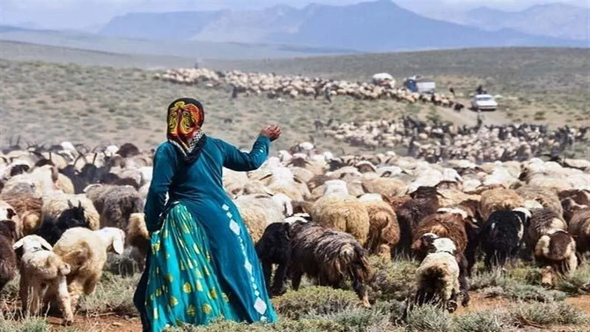 ۱۶۲۰ میلیارد تومان خسارات خشکسالی بر عشایر