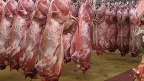 انباشت ۴۰۰ هزار تن گوشت قرمز در سردخانه‌های کشور