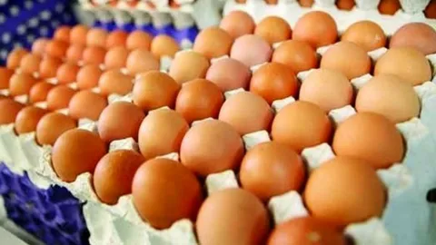 قیمت تخم مرغ در بسته‌های مختلف اعلام شد