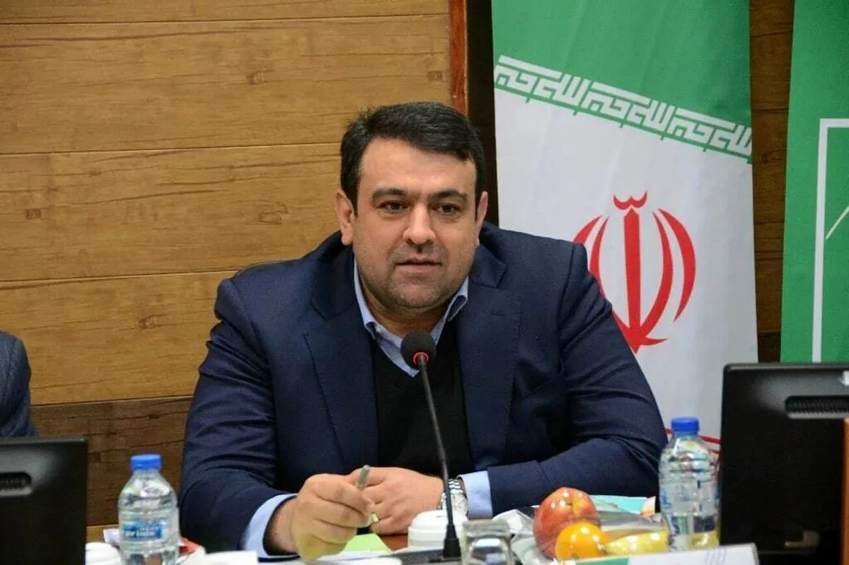 نجارزاده مدیرعامل بانک ملی شد