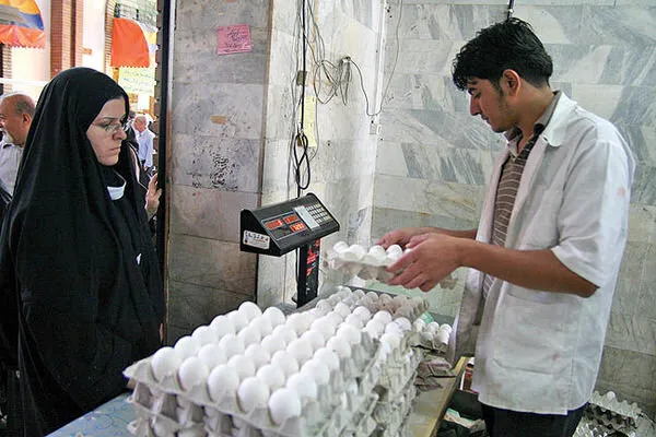 شرط عجیب برای صادرات تخم‌مرغ