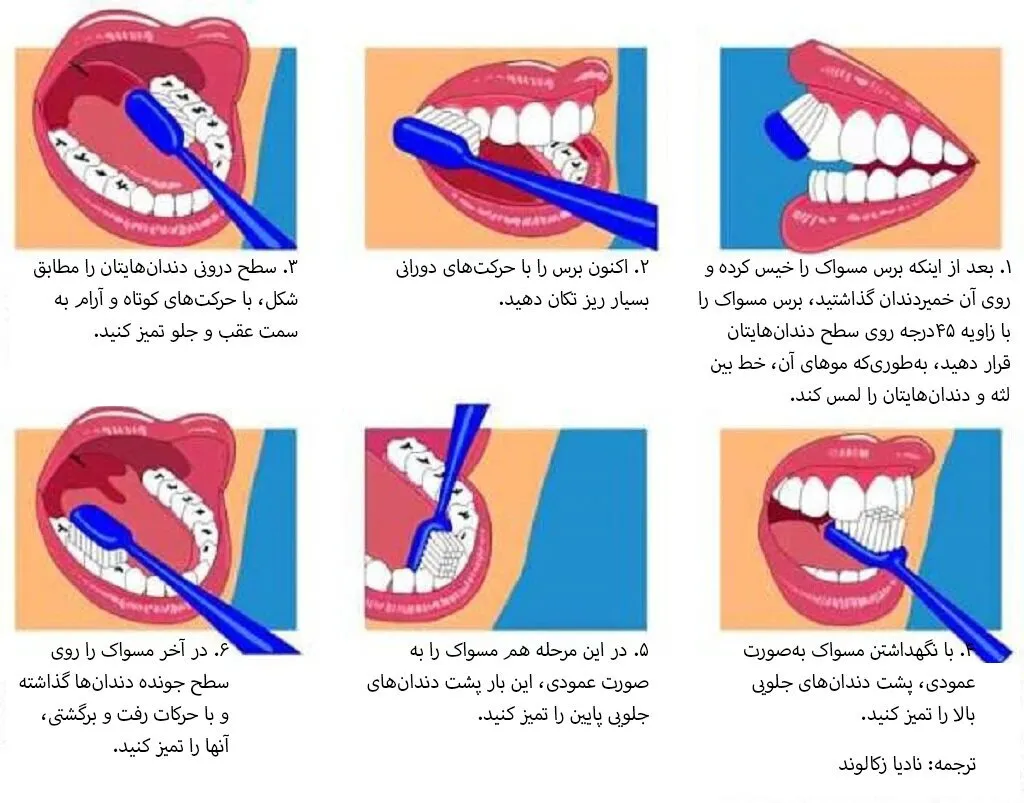 اینفوگرافیک/ روش صحیح مسواک زدن