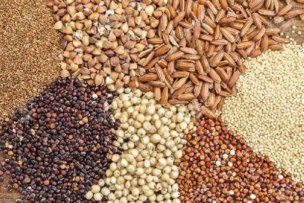 نامه واردکنندگان نهاده‌های دامی به رئیس جمهور