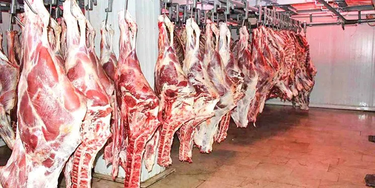 نیازی به واردات گوشت قرمز نداریم