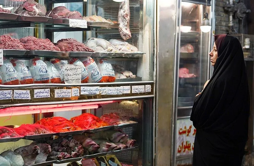 قیمت مرغ 