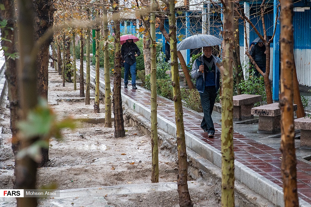 بارش باران در تهران 21