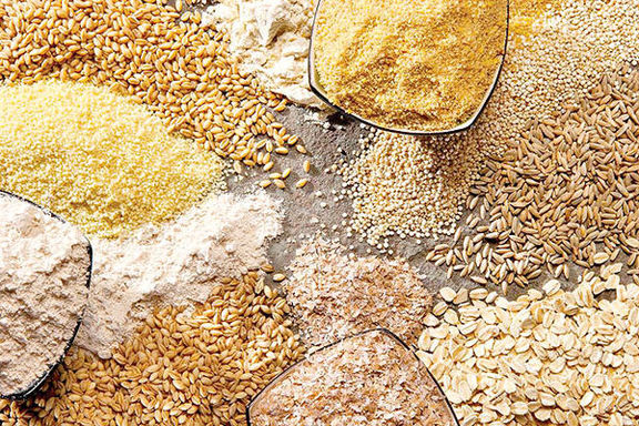 نهاده_های+دامی+نهاده+دامی