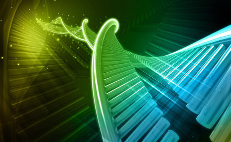 DNA