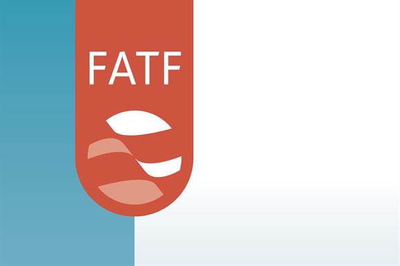  کار گروه ویژه اقدام مالی (FATF)