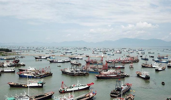 ترافیک کشتی های چینی