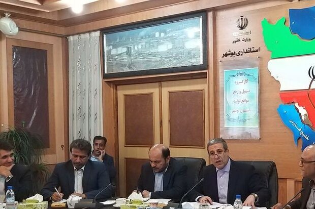 رفع موانع تولید در منطقه اقتصادی بوشهر ضروری است