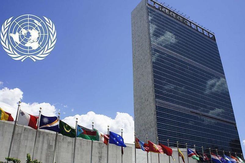 سازمان ملل