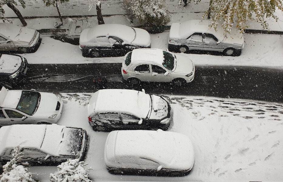 بارش برف و درختان سفید پوش در تهران