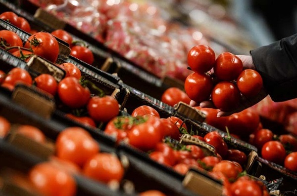 افزایش قیمت گوجه