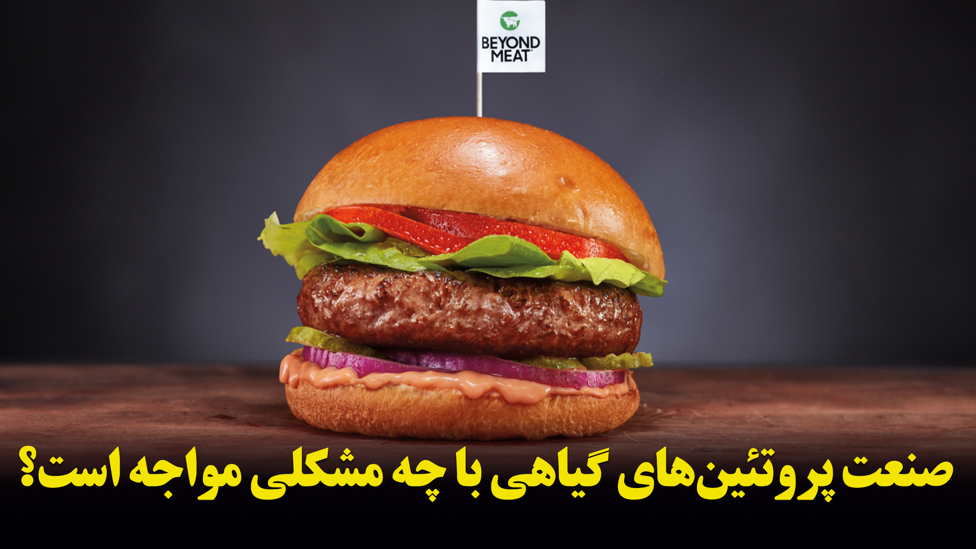 همبر